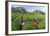 Girls Collecting Tea in Field in Rize, Black Sea Region of Turkey-Ali Kabas-Framed Photographic Print