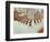 Girls Doing Drill in the Playground, Wilton Road School, London, 1907-null-Framed Photographic Print