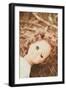 Girls Doll-Steve Allsopp-Framed Photographic Print