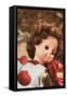 Girls Doll-Steve Allsopp-Framed Stretched Canvas