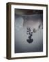 Girls Face in Water-Carolina Hernandez-Framed Photographic Print