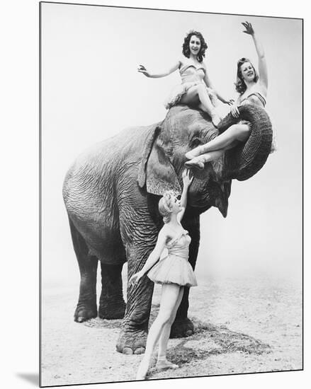 Girls Free Ride on Elephant-null-Mounted Premium Giclee Print