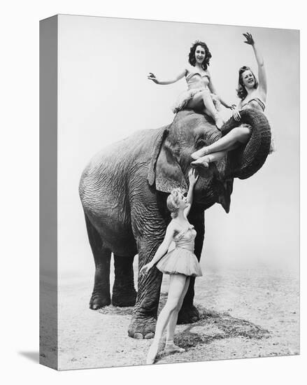 Girls Free Ride on Elephant-null-Stretched Canvas