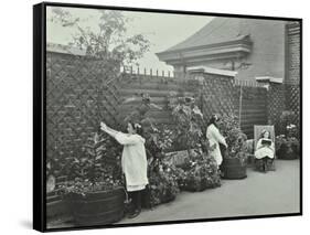 Girls Gardening and Reading in a Roof Top Garden, White Lion Street School, London, 1912-null-Framed Stretched Canvas