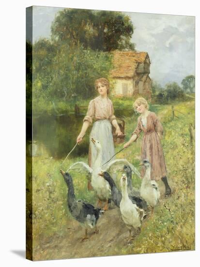 Girls Herding Geese-Henry John Yeend King-Stretched Canvas