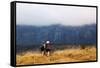 Girls hiking on a trail, Andringitra National Park, Ambalavao, central area, Madagascar, Africa-Christian Kober-Framed Stretched Canvas