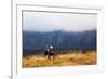 Girls hiking on a trail, Andringitra National Park, Ambalavao, central area, Madagascar, Africa-Christian Kober-Framed Photographic Print