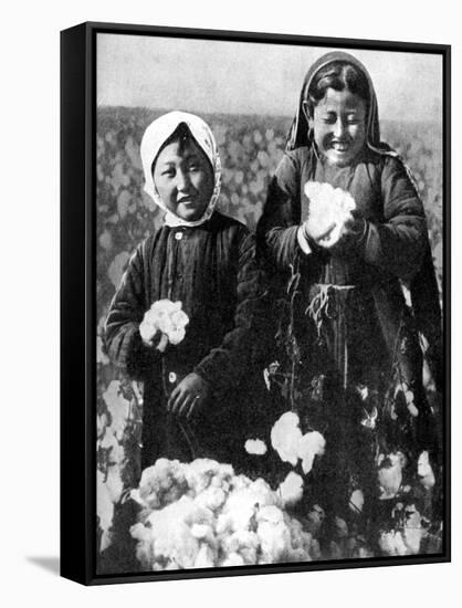 Girls in a Cotton Field, Kazakhstan, 1936-null-Framed Stretched Canvas