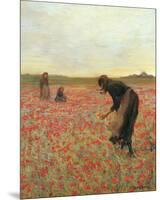 Girls in Poppy Field-Lawren Morris-Mounted Premium Giclee Print