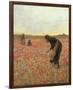 Girls in Poppy Field-Lawren Morris-Framed Premium Giclee Print