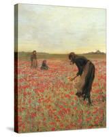 Girls in Poppy Field-Lawren Morris-Stretched Canvas