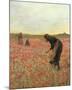 Girls in Poppy Field-Lawren Morris-Mounted Art Print