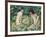 Girls in the Open Air (Pastel on Canvas)-Otto Muller or Mueller-Framed Giclee Print