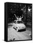 Girls on Board Fiat 500-null-Framed Stretched Canvas