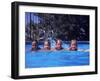 Girls on Float in Pool-Mark Gibson-Framed Photographic Print