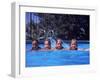 Girls on Float in Pool-Mark Gibson-Framed Photographic Print