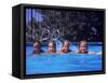 Girls on Float in Pool-Mark Gibson-Framed Stretched Canvas