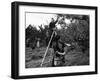 Girls Picking Apples-null-Framed Photographic Print