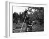 Girls Picking Apples-null-Framed Photographic Print