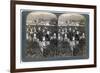 Girls Picking Tea on the Famous Plantation at Uji, Japan, 1904-Underwood & Underwood-Framed Giclee Print