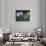 Girls Playing Soccer on a Field-null-Photographic Print displayed on a wall