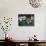 Girls Playing Soccer on a Field-null-Photographic Print displayed on a wall