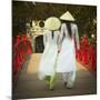 Girls Wearing Ao Dai Dress, Huc Bridge, Hoan Kiem Lake, Hanoi, Vietnam-Jon Arnold-Mounted Photographic Print