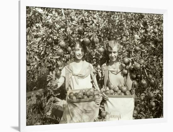 Girls with Apple Harvest, Yakima, 1928-Asahel Curtis-Framed Giclee Print