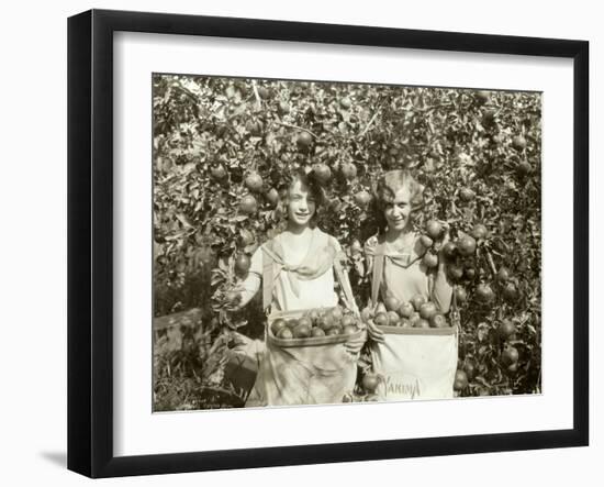 Girls with Apple Harvest, Yakima, 1928-Asahel Curtis-Framed Giclee Print