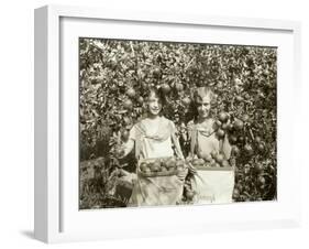 Girls with Apple Harvest, Yakima, 1928-Asahel Curtis-Framed Giclee Print