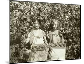 Girls with Apple Harvest, Yakima, 1928-Asahel Curtis-Mounted Giclee Print