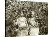 Girls with Apple Harvest, Yakima, 1928-Asahel Curtis-Stretched Canvas