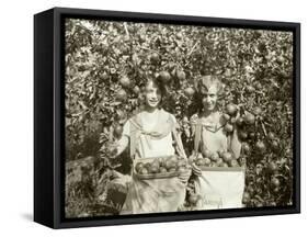 Girls with Apple Harvest, Yakima, 1928-Asahel Curtis-Framed Stretched Canvas