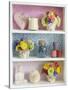 Girly Trinkets on Shelves-Tom Quartermaine-Stretched Canvas