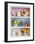 Girly Trinkets on Shelves-Tom Quartermaine-Framed Giclee Print