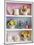 Girly Trinkets on Shelves-Tom Quartermaine-Mounted Giclee Print