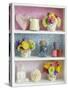 Girly Trinkets on Shelves-Tom Quartermaine-Stretched Canvas