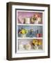 Girly Trinkets on Shelves-Tom Quartermaine-Framed Giclee Print