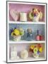 Girly Trinkets on Shelves-Tom Quartermaine-Mounted Giclee Print