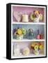 Girly Trinkets on Shelves-Tom Quartermaine-Framed Stretched Canvas