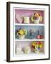 Girly Trinkets on Shelves-Tom Quartermaine-Framed Giclee Print