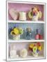 Girly Trinkets on Shelves-Tom Quartermaine-Mounted Giclee Print