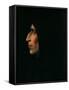 Girolamo Savonarola, 1497-Fra Bartolommeo-Framed Stretched Canvas