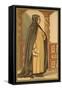 Girolamo Savonarola, Italian Dominican Friar and Preacher-null-Framed Stretched Canvas