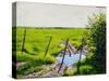 Girondine Meadow-Michel Bultet-Stretched Canvas