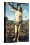 The Birth of St. John the Baptist-Giuliano Bugiardini-Stretched Canvas