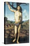 The Birth of St. John the Baptist-Giuliano Bugiardini-Giclee Print