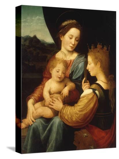 Stretched Canvas Print, , large