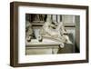 Giuliano De Medici, by Michelangelo-null-Framed Photographic Print