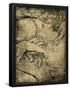 Essential Black